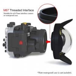 large dome shade seafrogs 01 balidiveshop 4